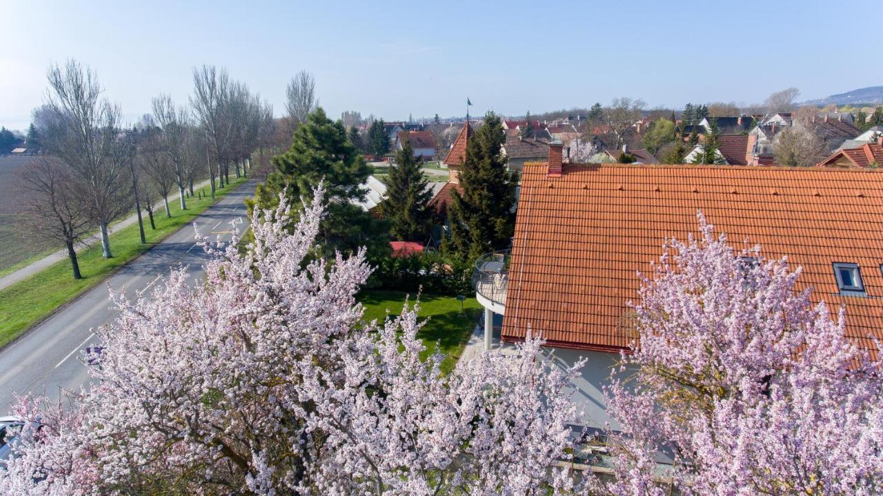 Tulipán vendégház Orvenyes Extérieur photo